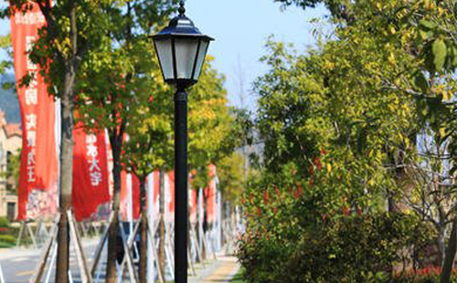 装塔城庭院灯避坑指南:庭院路灯防雷接地要点 装塔城庭院灯避坑指南:庭院路灯防雷接地要点